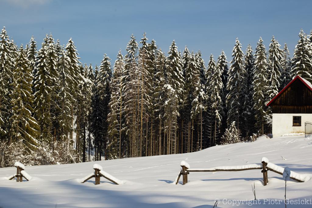 Willa Zwolakowka Bed and Breakfast Istebna Esterno foto